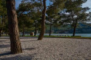 Priljubljena plaža v Strunjanu pričakuje kopalce v prenovljeni podobi 8